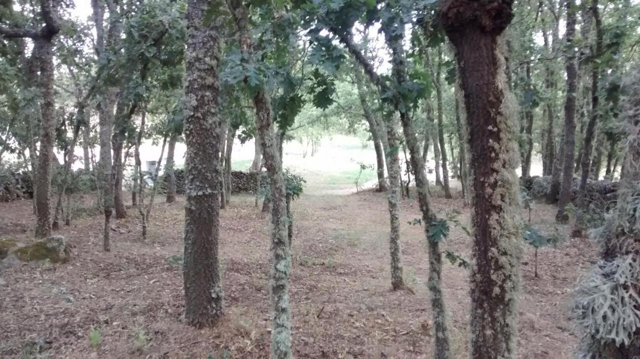 Hotel Las Casitas De Las Arribes Aldeadávila de la Ribera Zewnętrze zdjęcie